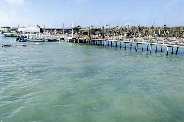 86 - Ecuador - islas Galapagos - isla Santa Cruz - Puerto Ayora - embarcadero